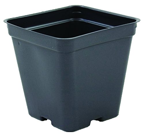 Square Greenhouse Pots 35 inch x 35 inch- Black - Plastic - Deep - Case of 450 by Growers Solution