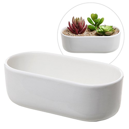 Modern Oval Design White Ceramic Succulent Plant Holder Decorative Cactus Flower Planter Pot