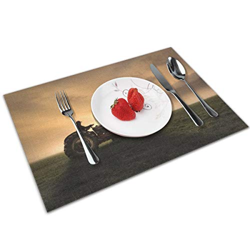 MNBVC Farmer Riding A Tractor Placemats Set of 4 for Dining Table Washable Woven Vinyl Placemat Non-Slip Heat Resistant Kitchen Table Mats Easy to Clean