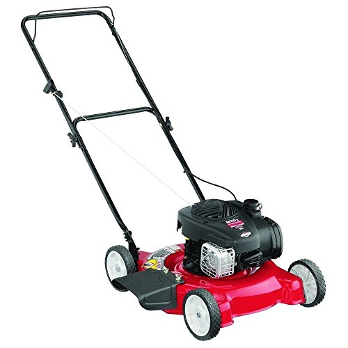 20 in 125 cc OHV Briggs Stratton Walk-Behind Gas Lawn Mower