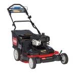 TimeMaster 30 in GAS Personal Pace Variable Speed Self-Propelled Walk-Behind Gas Lawn Mower with Briggs Stratton Engine