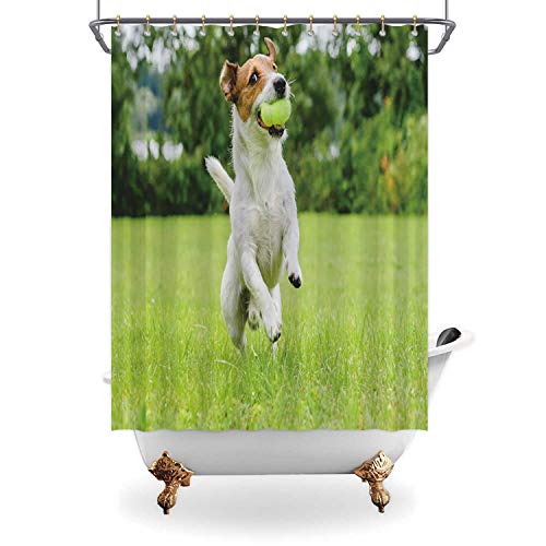 ALUONI Funny Dog Playing with Tennis Ball Toy on Lawn Machine Washable Bath Curtains087914 for Bathroom71 in x 71in