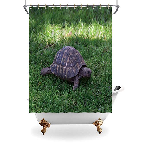 ALUONI Turtle on The Lawn Machine Washable Bath Curtains145650 with Hooks71 in x 71in