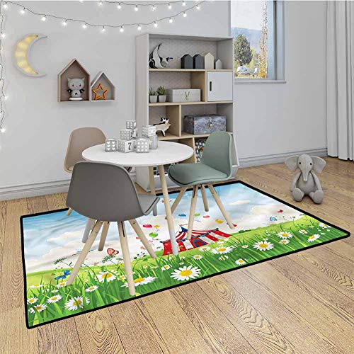 Circus Living Room Rug Mat Circus Butterfly Lawn Machine Washable 66x910 Feet
