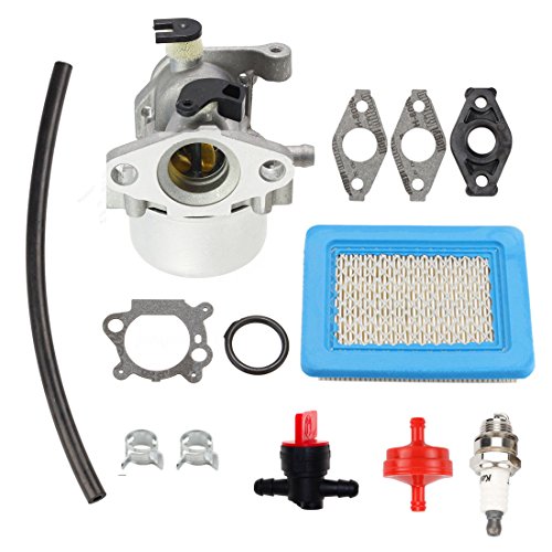 ANTO 799866 Carburetor for Briggs Stratton 794304 796707 790845 799871 Toro Craftsman Carburetor Motor Lawn Mower Part with Gaskets Spark Plug Air Filter Fuel Filter