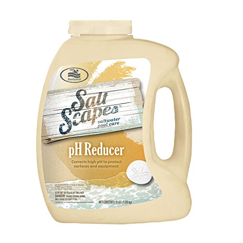SaltScapes Saltwater Pool Care - pH Reducer