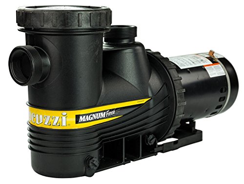 Carvin Magnum Force 34 HP In Ground Swimming Pool Pump
