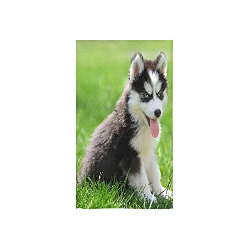 INTERESTPRINT Cute Little Siberian Husky Puppy in Grass Absorbent Large HandSports Towels Cleaning Towels Beach Towel for Hotel Spa Salon Gym Bathroom 16x28 Inch