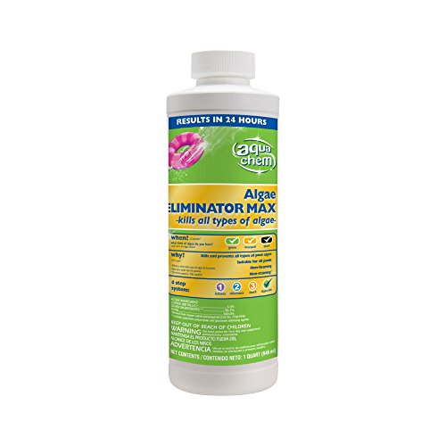 Aqua Chem Algae Eliminator Max Algaecide For Swimming Pools, 1-quart