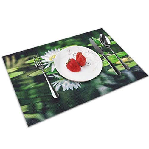 MNBVC White Water Lilies Green Leaves Pool Placemats Set of 4 for Dining Table Washable Woven Vinyl Placemat Non-Slip Heat Resistant Kitchen Table Mats Easy to Clean