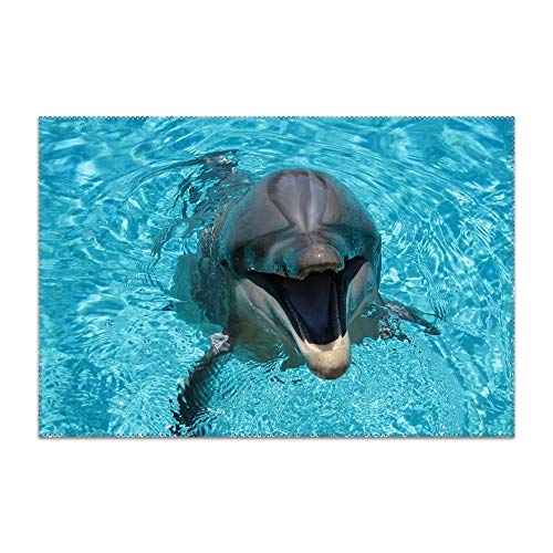 Trongr Dolphin Smiling Water Pool Placemats Washable Placemats for Dining Table Heat Resistant Kitchen Table Mats Eat Meal Mat Easy to Clean