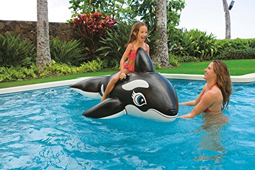 ship From Usa Intex Inflatable Whale Pool Float  Have A Whale Of A Time  Cool For The Pool item Noe8fh4f854122590