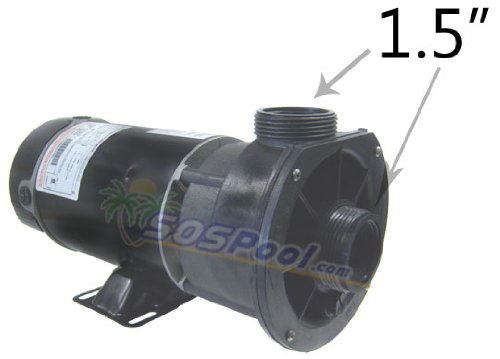 Waterway 2 Speed 20 Hp 230v Spa Pump 3420820-15