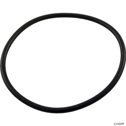 Pentair 192323 O-ring Replacement Poolspa De Filter And Pump