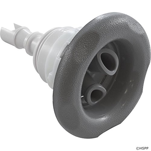 Waterway 229-8127 3-38&quot Threaded Poly Storm Twin Roto 5-scallop Gray Spa Jet Internal
