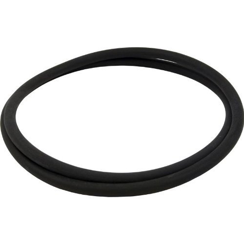 Pentair 152127 18 O-Ring Tank for Nautilus Pool or Spa DE Filter