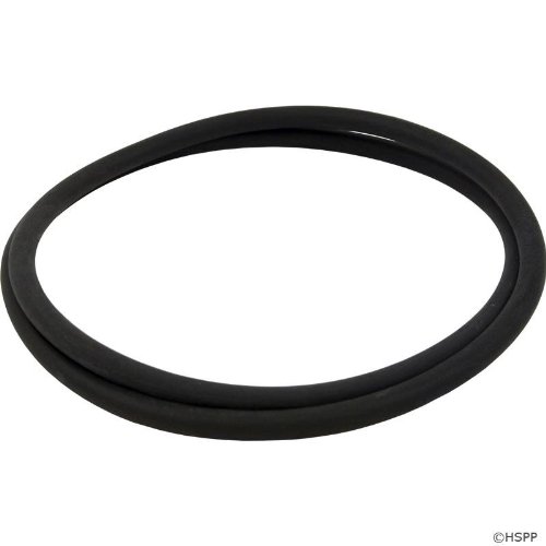 Pentair 152127 18-inch O-ring Tank Replacement Nautilus Pool And Spa D.e. Filter