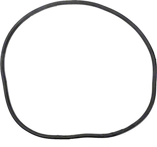Pentair 27001-0061s Body O-ring For Tank Replacement For Select Sta-rite Pool And Spa Filters