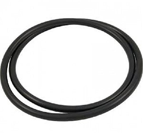 Pool Filter Tank O-ring For Pentair FNS Quad DE Clean Clear 39010200 O-497