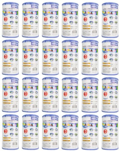 Intex Type A Easy Set Pool Filter Cartridge 24-pack  29000e 59900e