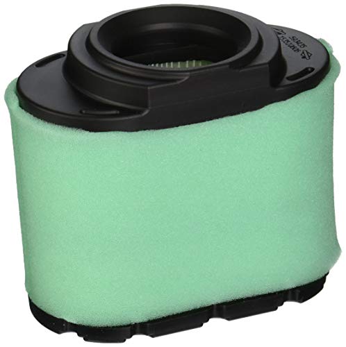 Briggs Stratton 792105 Extended Life Series Air Filter Cartridge