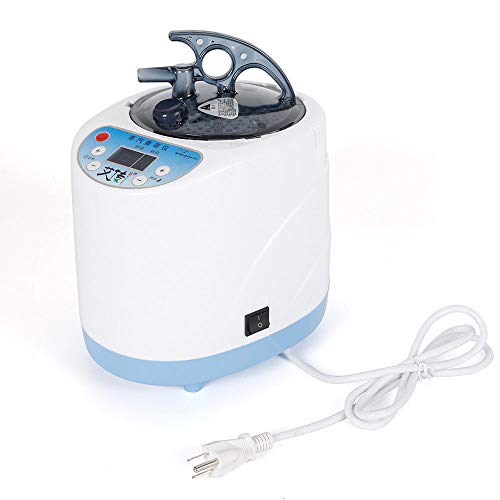 RANZHIX Sauna Steamer 2L Portable Fumigation Spa Machine Stainless Steel Pot Steam Generator for Home Shower Spa Tent Body Therapy Steamer