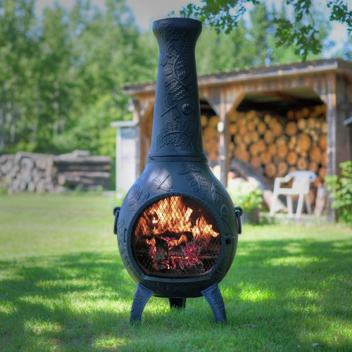 The Blue Rooster Dragonfly Chiminea with Gas in Charcoal