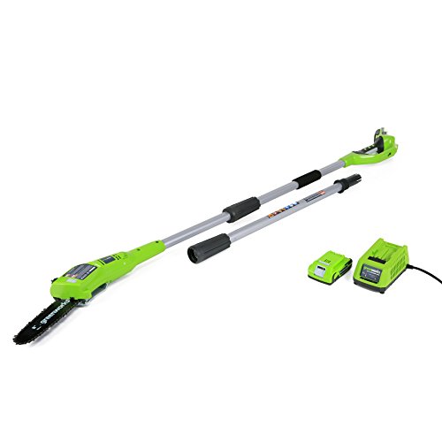 GreenWorks 20352 24V 8-Inch Cordless Pole Saw 2Ah Battery and Charger Included