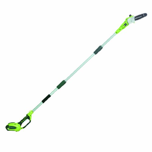 Greenworks 20672 G-max 40v 8-inch Cordless Pole Saw 2ah Battery And Charger Included