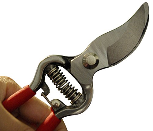 Gardening Shears Tree Pruning Saw Folding Hand Saw by Careful Gardener Garden Shears