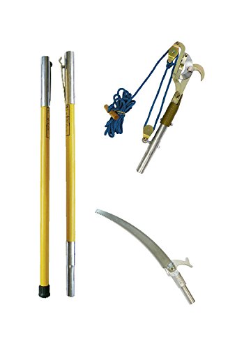 Pruner and Pole Saw Kit with Two FG 6 Fiberglass Poles by Jameson
