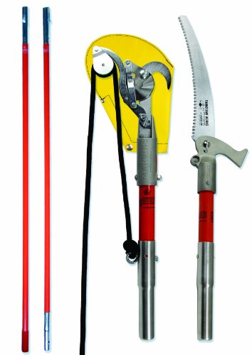 Works Pole Saw and Pruner Kit