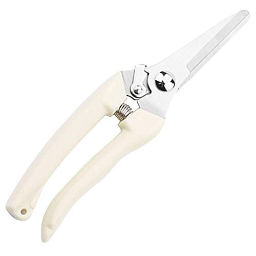 FJFJFJ Titanium Bypass 17Cm Pruner Tree Cutter Gardening Pruning Shear Scissor Stainless Steel Sharp Carbon Steel Blade Effortless Cuts 1 Inch Straight head2PCS