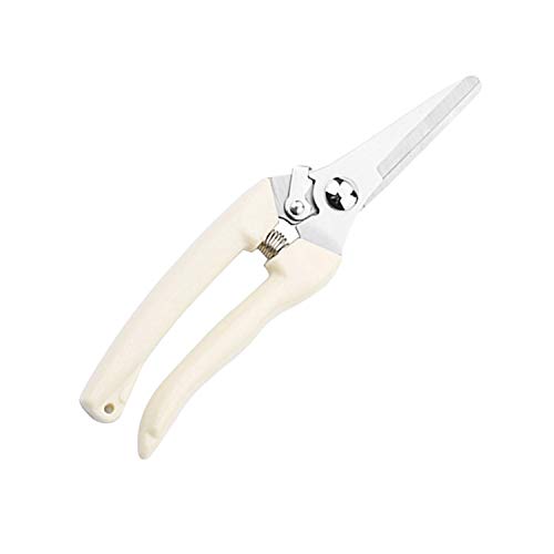 haleysmall 17Cm Pruner Tree Cutter Gardening Pruning Shear Scissor Stainless Steel Cutting Tools Set Home Tools Anti SlipStraight Scissors