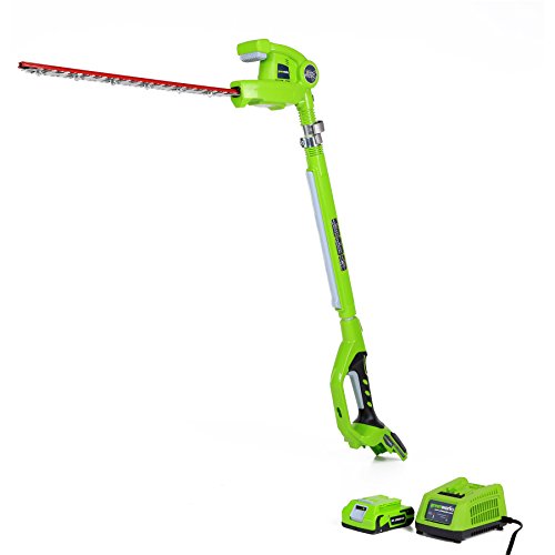 Greenworks 22242 24v 20-inch Cordless Pole Hedge Trimmer 2ah Battery And Charger Included