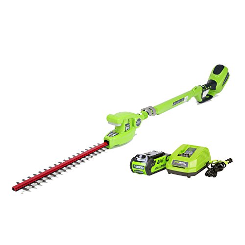 Greenworks 22272 G-max 40v 20-inch Cordless Pole Hedge Trimmer 2ah Battery And Charger Included