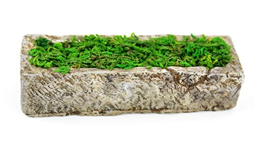 Touch Of Nature 1-piece Miniature Garden Resin With Moss Hedge 3-inch