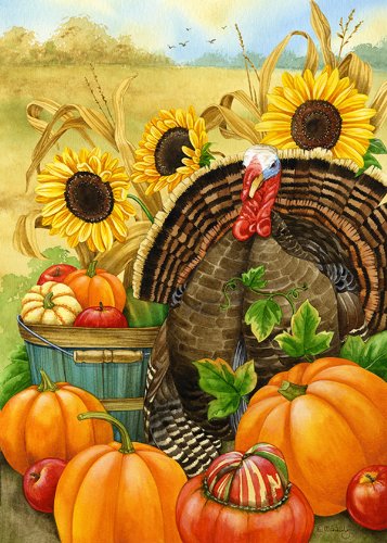 Toland - Hello Turkey - Decorative Thanksgiving Harvest Fall Autumn Pumpkin Usa-produced House Flag