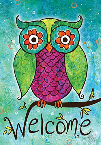Toland - Rainbow Owl - Decorative Welcome Colorful Mulitcolor Bright Cute USA-Produced Garden Flag
