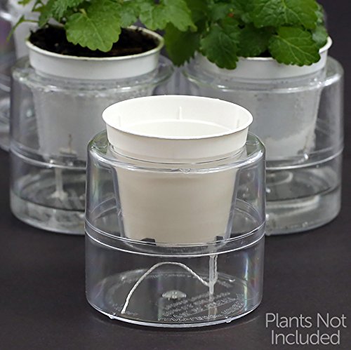 Miniature Self Watering Planter System - 18 Sets
