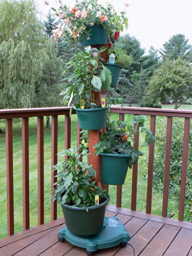 5 Planter Vertical Gardening System With Drip Irrigation System Finish: Hunter Green