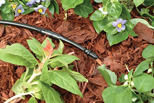 Rain Bird TP25-30PK Drip Irrigation Tubing Goof Plug 30-Pack