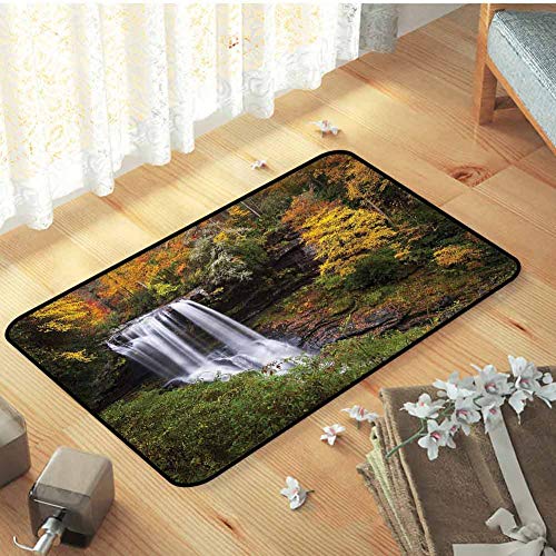 FOEYESEE Thin Door Mat Indoor Waterfall Autumn Season Fall Leaves 354x472 Outdoors Door Mat