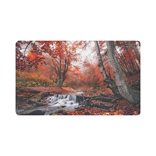 INTERESTPRINT Autumn Landscape Beautiful Waterfall in Forest Doormat Indoor Outdoor Entrance Rug Floor Mats Shoe Scraper Door Mat Non-Slip Home Decor Rubber Backing Large 30L x 18W