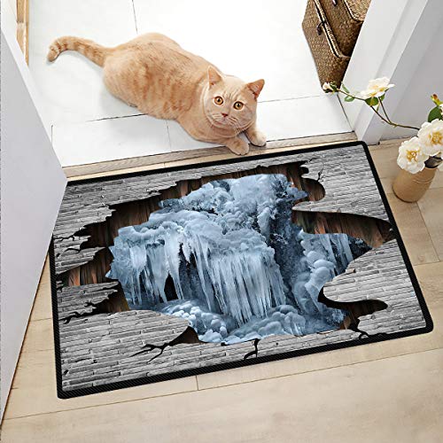 Ngjikaju decor Welcome Mat Indoor Waterfall Door Mat Funny Floor Mats for Home 36x48 Inch