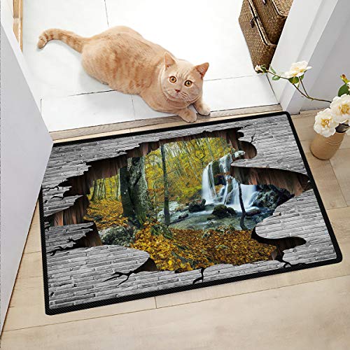 Ngjikaju decor Welcome Mat Indoor Waterfall Door Mat Funny Floor Mats for Home 36x48 Inch