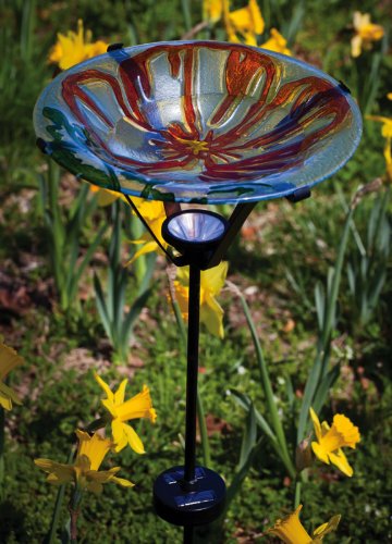Glass and MetalBird Bath with Solar Stake Poppy Paradise1125x1125x2475 Inches