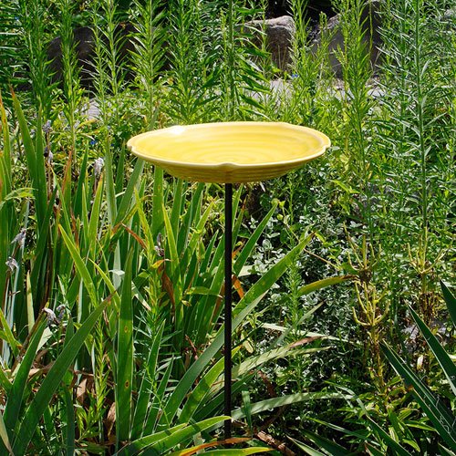 Achla Designs Mesa Sun Ceramic Birdbath