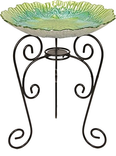 Beckett Corporation Spring Shell Birdbath with Stand Green