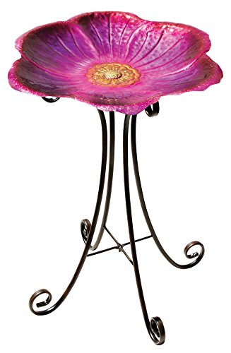 Regal Art Gift 10268 Birdbath with Stand Flower